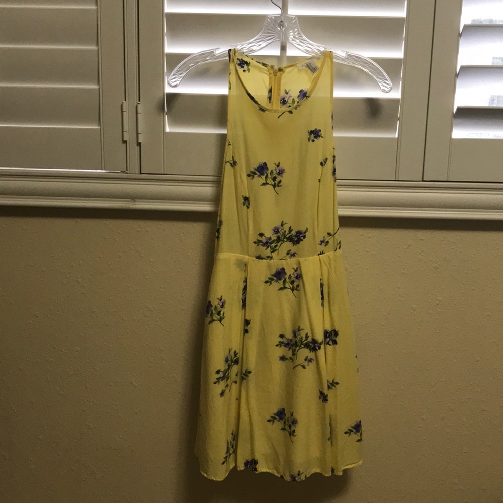 Yellow Spring, skater dress. Size: Small.